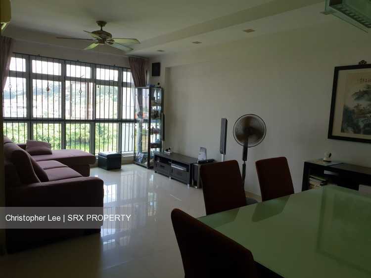 Blk 394 Bukit Batok West Avenue 5 (Bukit Batok), HDB 5 Rooms #198221882